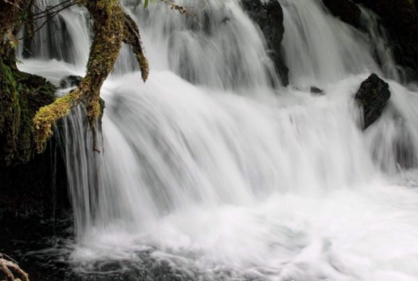 Long exposure of Vetter Falls waterfalls in a forest in Nisga'a Nations traditional territory